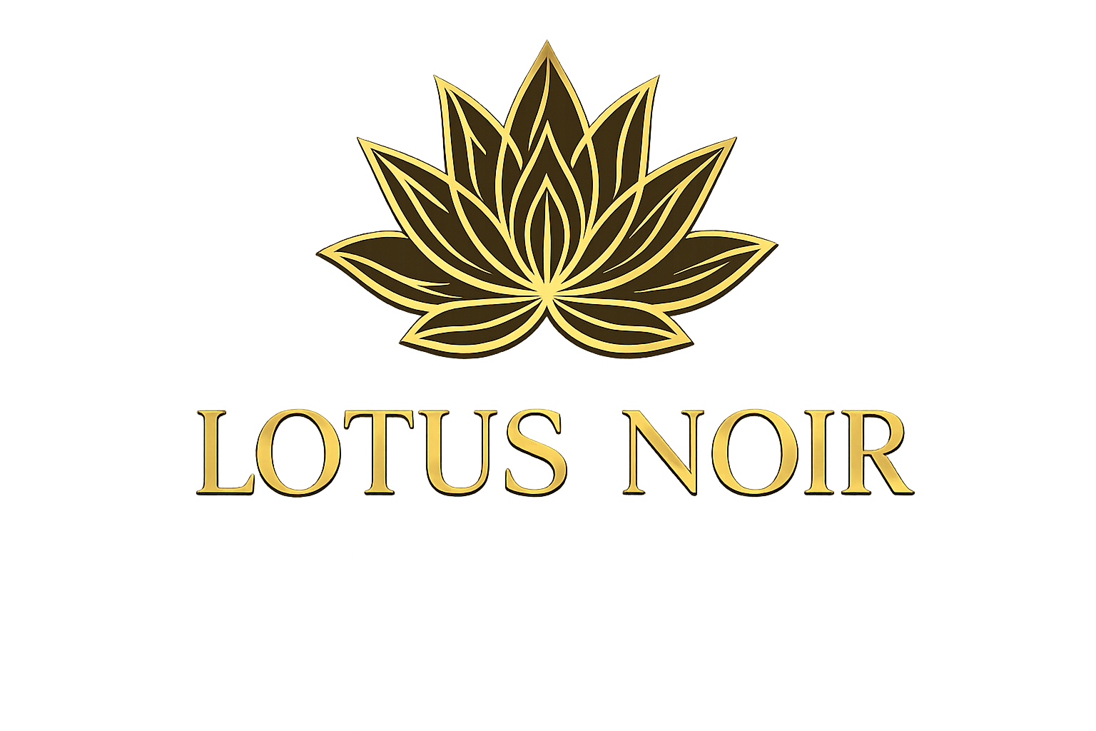 Aperçu du site du restaurant Lotus Noir